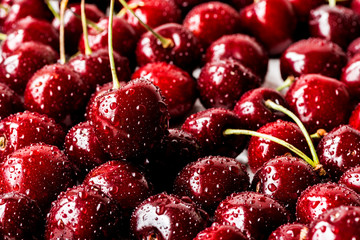 Close up of fresh cherry berries with water drops