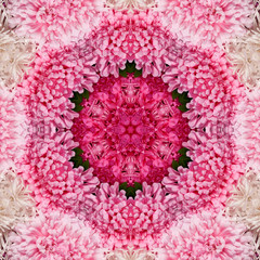 Decorative panel of asters in the form of a kaleidoscope