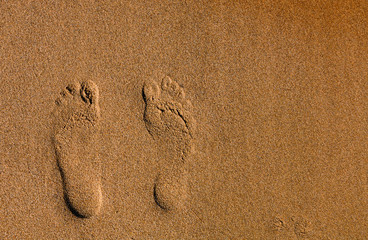 footprints in the sand. sea. Photo footprints on the sand at the beach