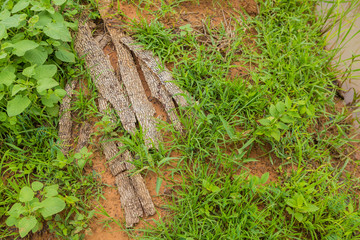 Pile of wood in the garden