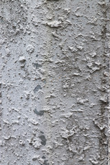 Roughness thick gray concrete texture on the wall.