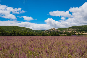 Obraz na płótnie Canvas Vue sur le village de Banon en Provence, France. Champ de sauge sclarée au premier plan.