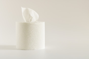 Tissue roll on white background, Close up.