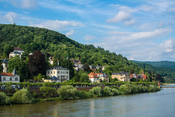 Fototapeta na wymiar Plenty of residential houses at the hillside at the embankment of Neckar river at the center of Heidelberg, an aerial panoramic view over the roofs, Baden-Württemberg, Germany.