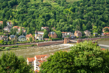 Plenty of residential houses at the hillside at the embankment of Neckar river at the center of Heidelberg, an aerial panoramic view over the roofs, Baden-W&uuml;rttemberg, Germany.