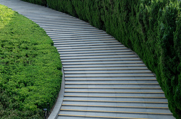 Wooden Path in the Garden of Contemplation