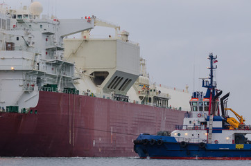 MANEUVERS IN PORT - Great ship to carry gas and small tugboat   © Wojciech Wrzesień