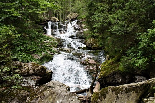 Ri&szlig;lochf&auml;lle