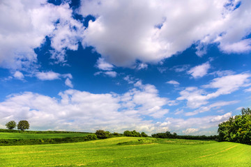 Beautiful spring landscape and cloudy sky.