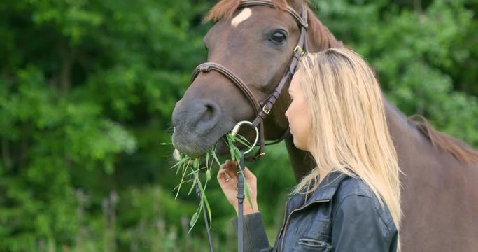 Smiling woman caressing and feeding her arabian horse in the field