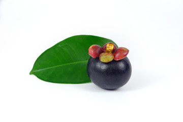 Mangosteens on white background.