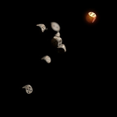 Dice rolling shooting with dark background. Focus on leader.