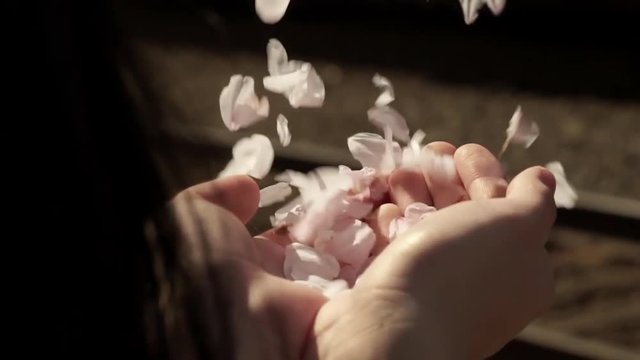 Young Woman Holds A Handful Of Flower Petals, They Blow Away In The Wind, Train Passes By In Background (Slow Motion)