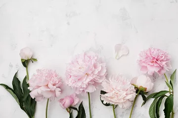 Rollo Pfingstrosen Schöne rosafarbene Pfingstrosenblumen auf weißem Steintisch mit Kopierraum für Ihre Textdraufsicht und flachen Laienstil.