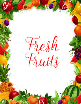 Vector exotic fresh natural fruits frame poster