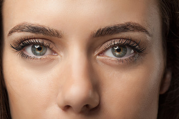 beauty make up shot of sensual young woman close-up eye
