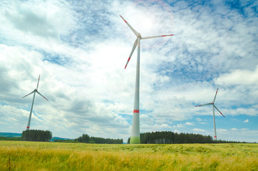 Fototapeta premium windmills