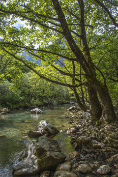 Voidomatis Springs, Greece