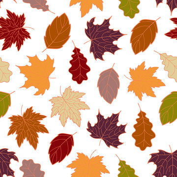 Hand-drawn seamless pattern of autumn leaves, various veined fall leaves, botanic vector background, EPS 8
