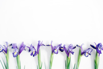 Beautiful purple iris flowers on white background. Flat lay, top view.