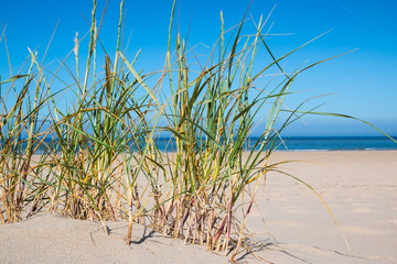 d&uuml;nenlandschaft
