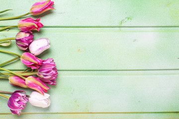 Border from  bright pink  spring tulips flowers  on green wooden background.