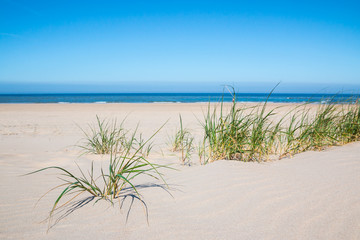 Fototapeta na wymiar dünenlandschaft strand 