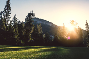 Fototapeta premium Yosemite Nationalpark im Sonnenuntergang - Kalifornien USA