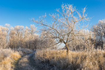 Fall landscape with earth road through the lands covered with hoar-frost