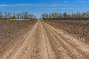 Fototapeta na wymiar Spring landscape with an earth road between agricultural fields in central Ukraine