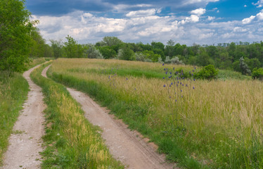 Fototapeta na wymiar Spring landscape with an earth road at the edge of the meadow