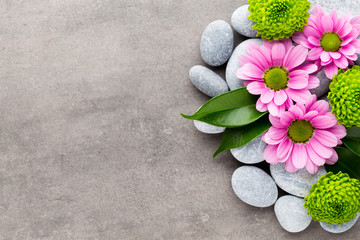 Fototapeta na wymiar Spa stones and flowers on grey background.