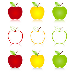 Apple set. Vector