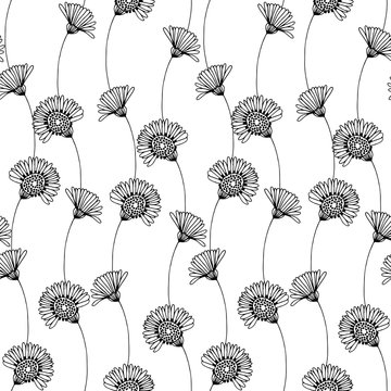 Seamless floral pattern with hand-drawn chamomiles on a white background.