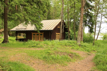 Fototapeta na wymiar House in the forest