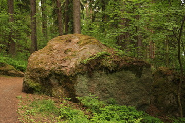 A large stone in the forest, covered with moss