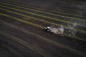 The white tractor plows the field against the backdrop of the black earth, and behind it birds fly and collect food. Aeril view. Agricultural machinery works in the field of spring planting. Plowing