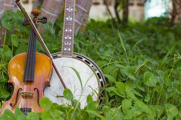 .Violin with banjo, bluesgrass musical instrument Placed beside the tree on the farm. To play the...