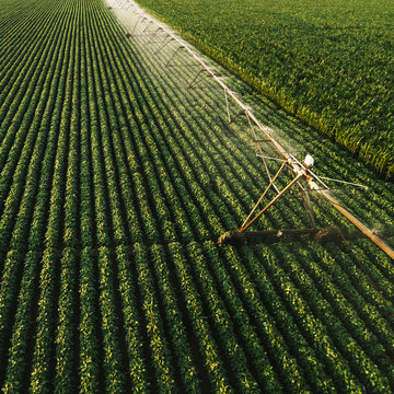 Aerial view of irrigation equipment watering green soybean crops