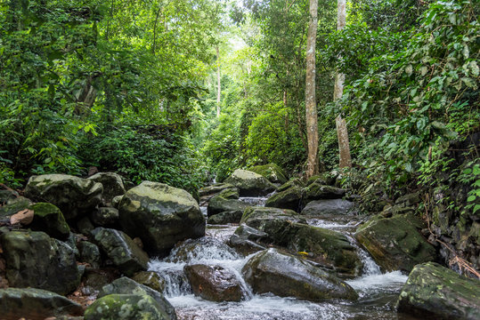Fototapeta Krok-E-Dok waterfall and rain forest on mountain in Khao Yai National park, Thailand.