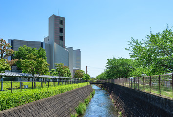 潤井川支流