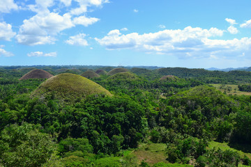Fototapeta na wymiar Amazing Chocolate hills panorama is the famous touristic place in the Bohol province of the Philippines. March 2016 by Viktoriia Augustinovych