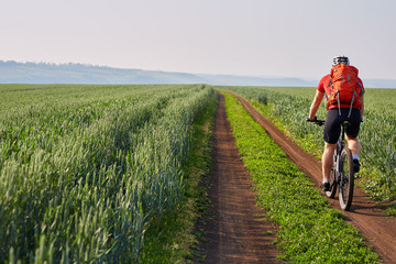 Young cyclist riding bicycle on the road on green field.