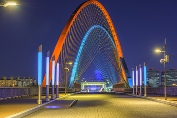 Fototapeta na wymiar Expo bridge at Daejeon,South Korea.