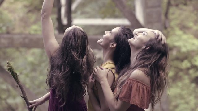 3 Young Women Enjoy Nature, Look Up Into The Forest 