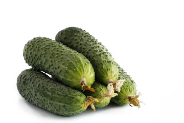 Several ripe cucumbers on a white background