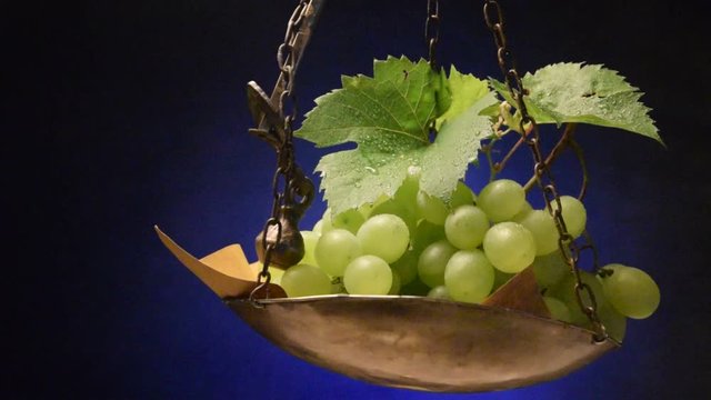 Ra&iuml;m de taula Table grape ブドウ Tafeltraube Uve da tavola Raisin de table Video Uva de mesa grapes