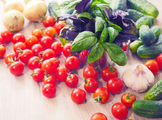 Fresh Basil and tomatoes. Cooking at Home. Preparing Healthy Salad with Basil and Tomatoes. Bunch of Basil, garlic, onions. Italian style composition. Fresh italian vegetables.