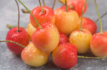 Freshly picked red and yellow Rainier cherries with water drops closeup. Selective focus © la_vanda