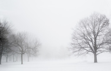 Fototapeta na wymiar Winter in the black and white capture!